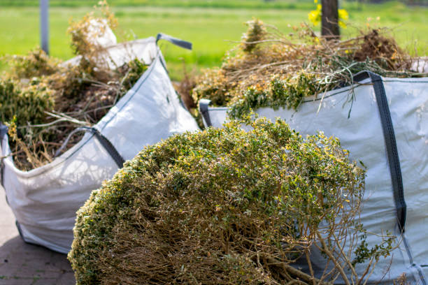 Best Shed Removal  in Bay Pines, FL